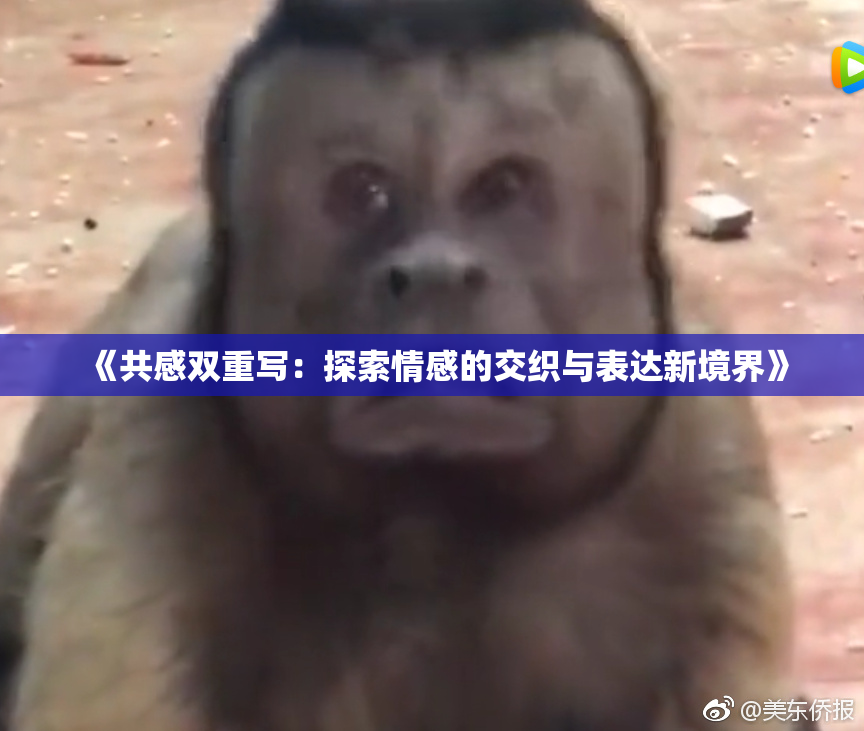 《共感双重写：探索情感的交织与表达新境界》