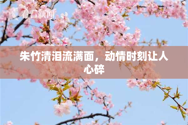 朱竹清泪流满面，动情时刻让人心碎
