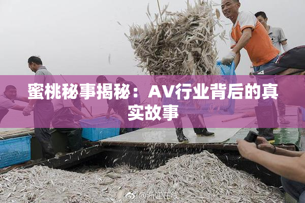 蜜桃秘事揭秘：AV行业背后的真实故事