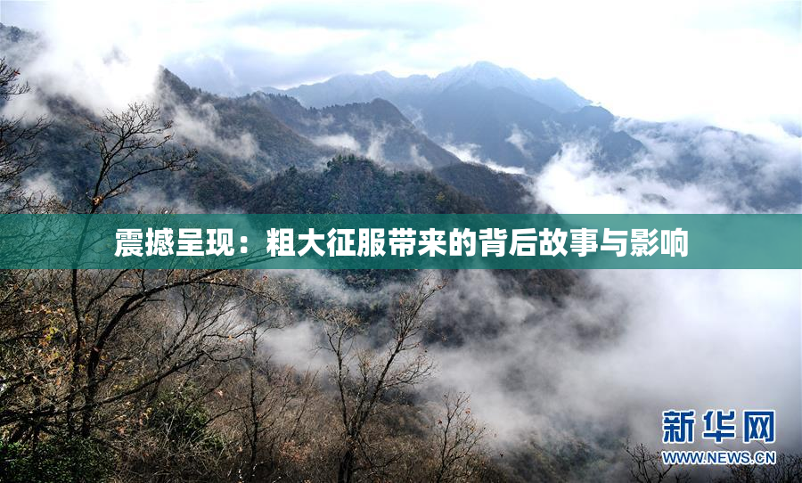震撼呈现：粗大征服带来的背后故事与影响