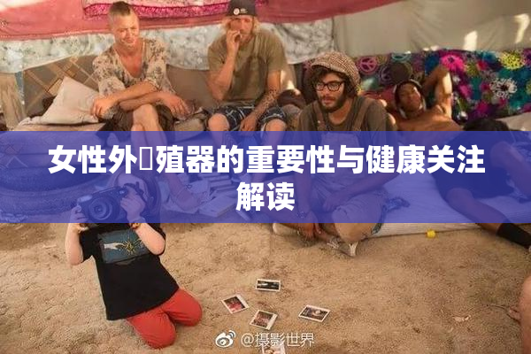 女性外夝殖器的重要性与健康关注解读