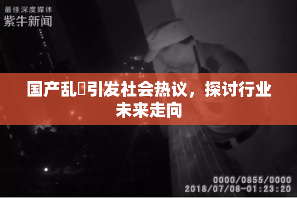 国产乱婬引发社会热议，探讨行业未来走向