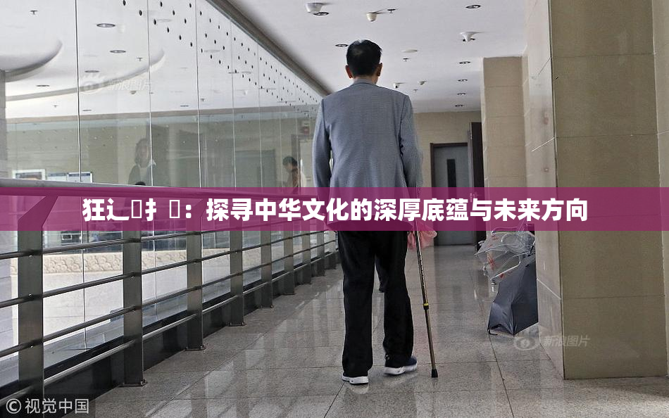 狂辶喿扌畐：探寻中华文化的深厚底蕴与未来方向