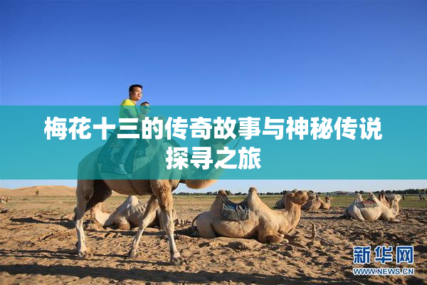 梅花十三的传奇故事与神秘传说探寻之旅