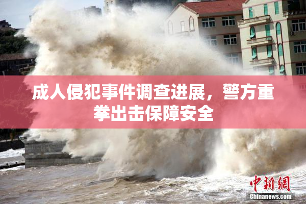 成人侵犯事件调查进展，警方重拳出击保障安全