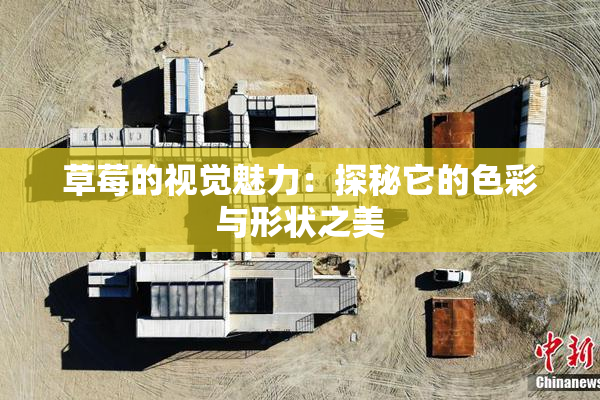 草莓的视觉魅力：探秘它的色彩与形状之美
