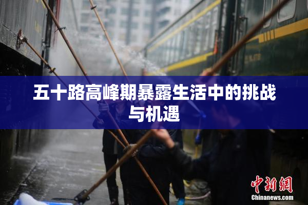 五十路高峰期暴露生活中的挑战与机遇