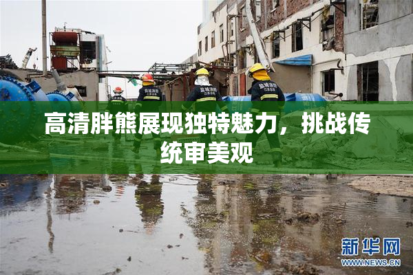 高清胖熊展现独特魅力，挑战传统审美观
