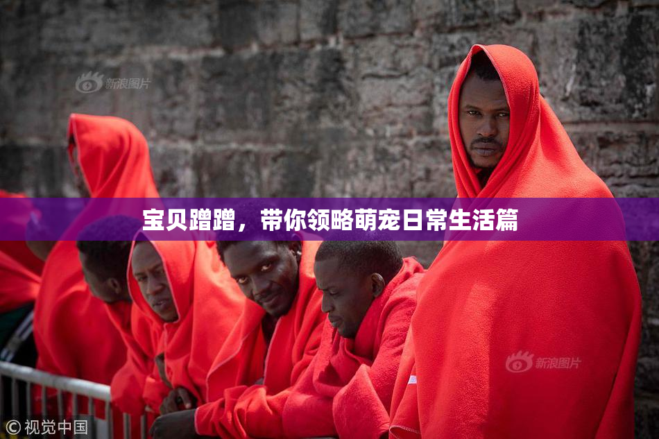 宝贝蹭蹭，带你领略萌宠日常生活篇