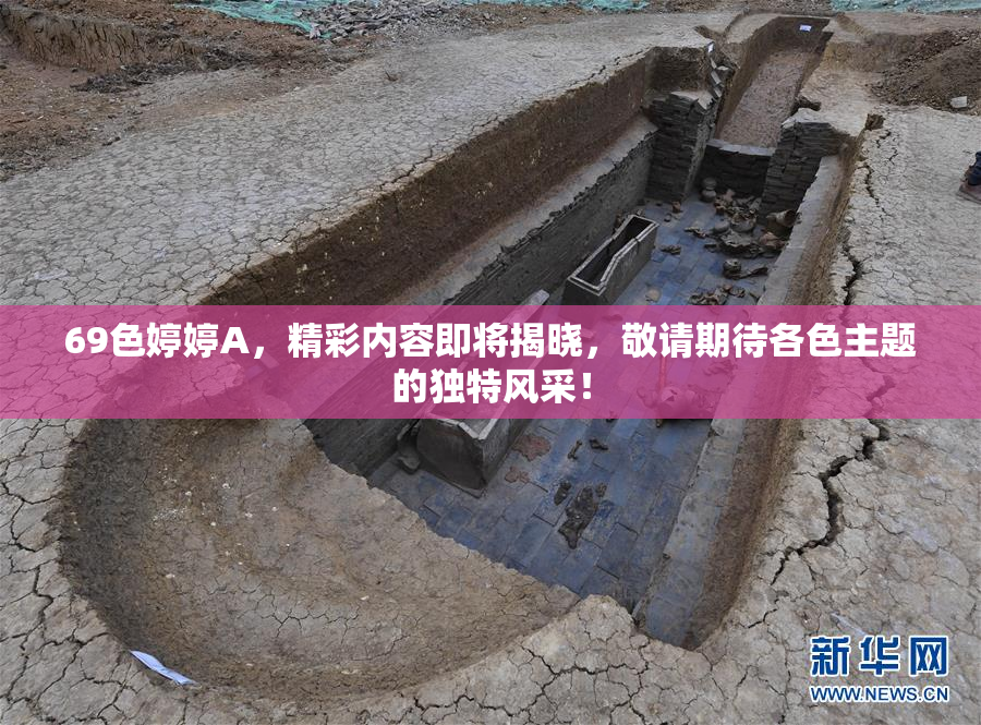 69色婷婷A，精彩内容即将揭晓，敬请期待各色主题的独特风采！