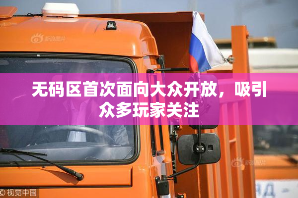 无码区首次面向大众开放，吸引众多玩家关注