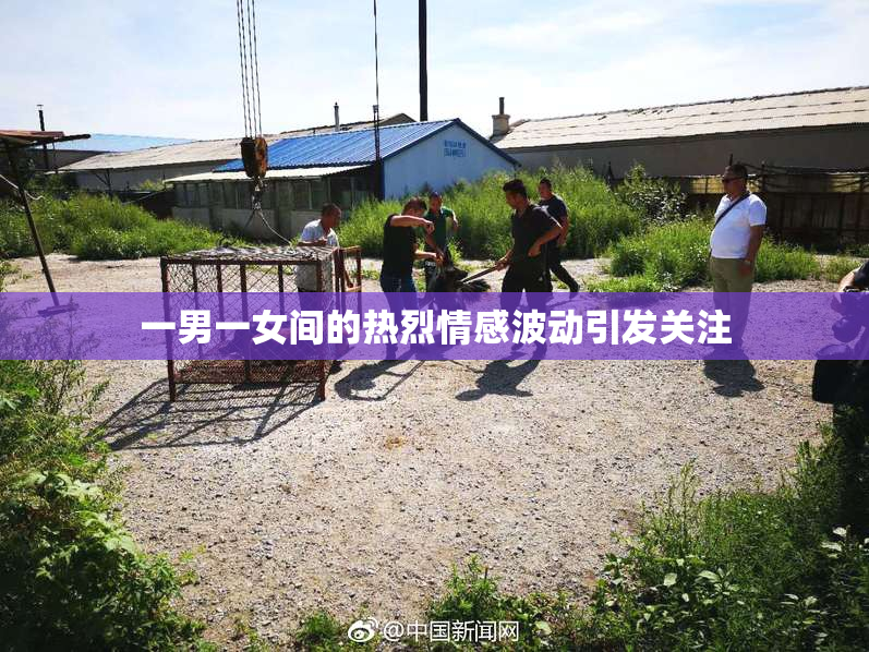 一男一女间的热烈情感波动引发关注
