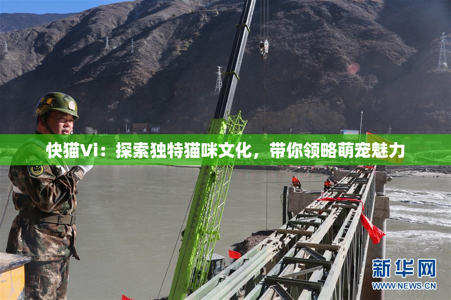 快猫Vi：探索独特猫咪文化，带你领略萌宠魅力
