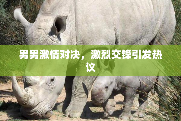 男男激情对决，激烈交锋引发热议