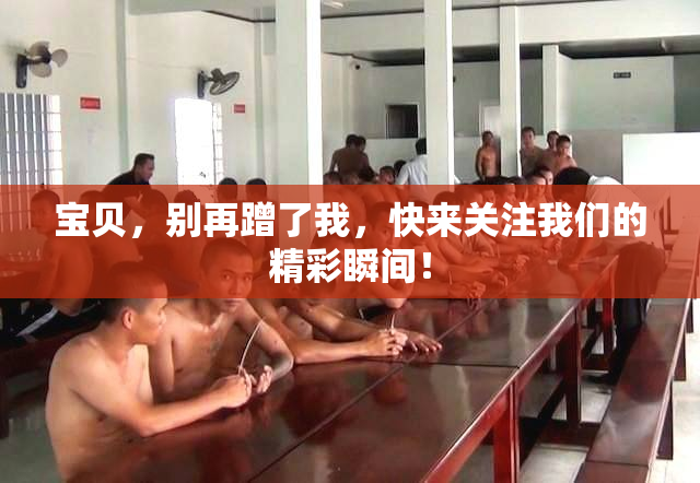 宝贝，别再蹭了我，快来关注我们的精彩瞬间！