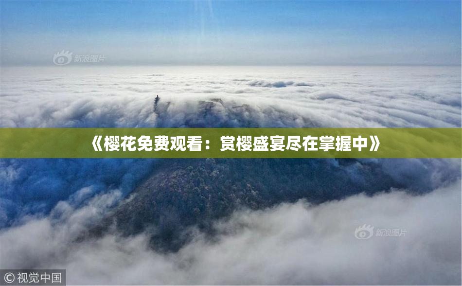 《樱花免费观看：赏樱盛宴尽在掌握中》