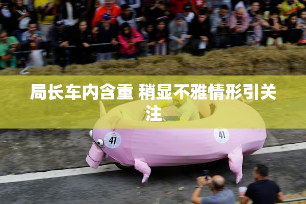 局长车内含重 稍显不雅情形引关注