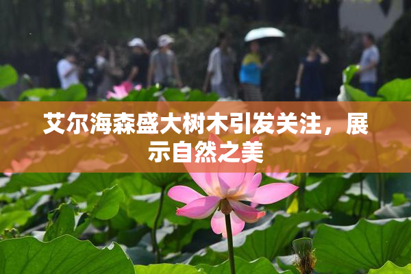 艾尔海森盛大树木引发关注，展示自然之美