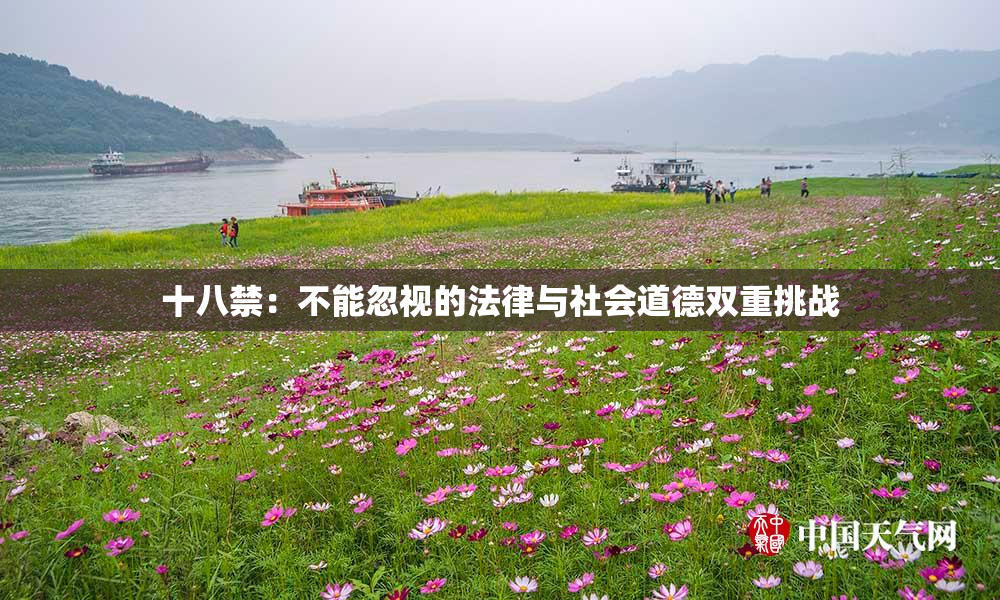 十八禁：不能忽视的法律与社会道德双重挑战
