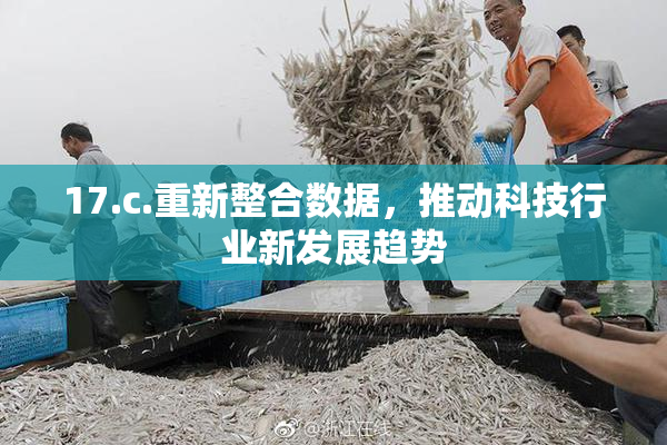 17.c.重新整合数据，推动科技行业新发展趋势
