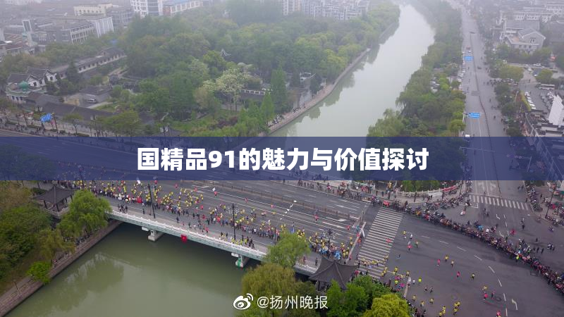 国精品91的魅力与价值探讨