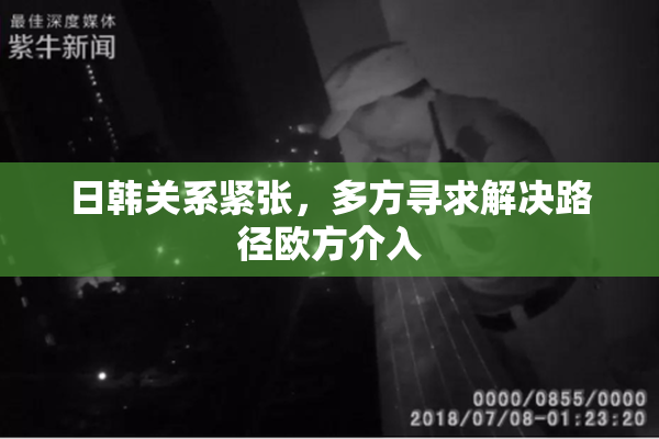 日韩关系紧张，多方寻求解决路径欧方介入