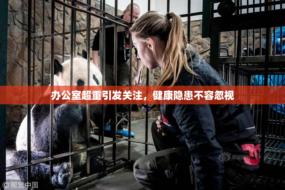 办公室超重引发关注，健康隐患不容忽视