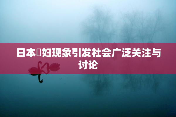 日本婬妇现象引发社会广泛关注与讨论