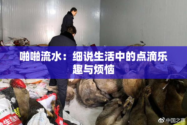 啪啪流水：细说生活中的点滴乐趣与烦恼