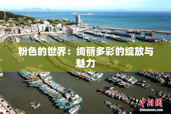 粉色的世界：绚丽多彩的绽放与魅力