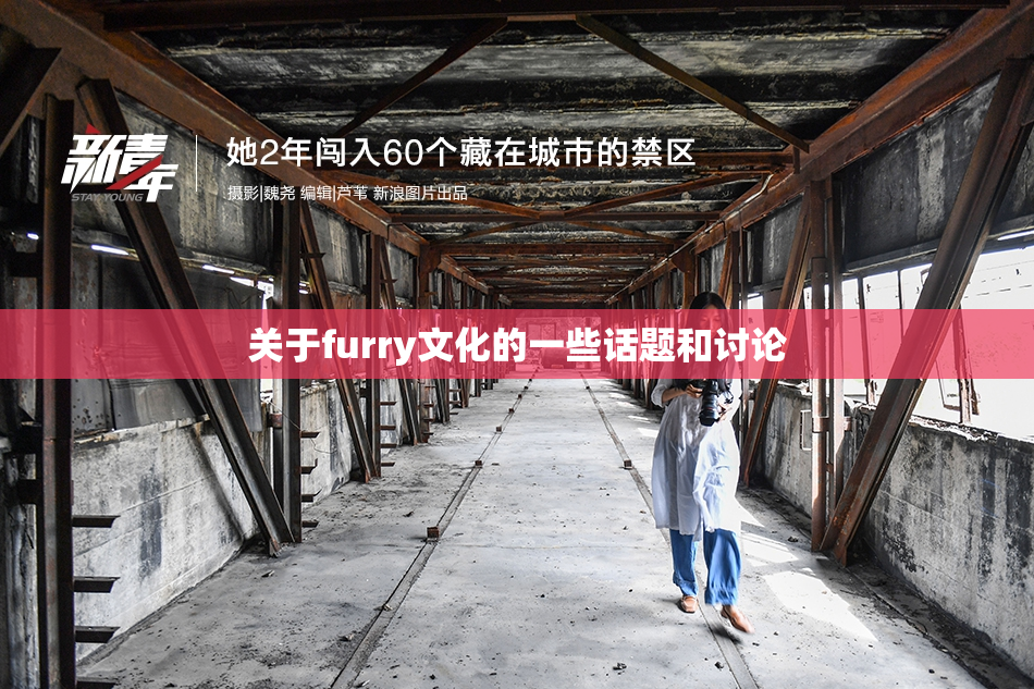 关于furry文化的一些话题和讨论