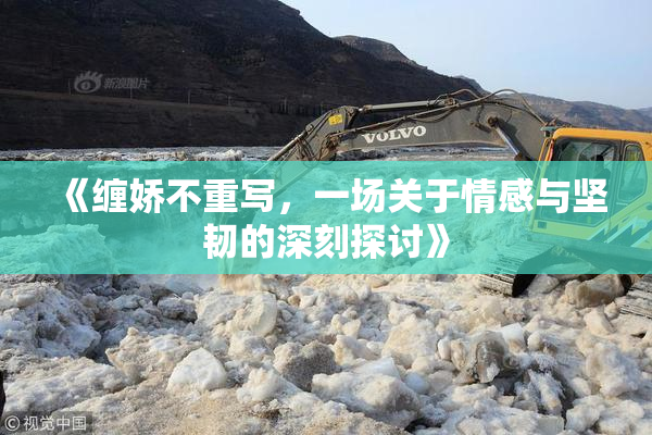 《缠娇不重写，一场关于情感与坚韧的深刻探讨》
