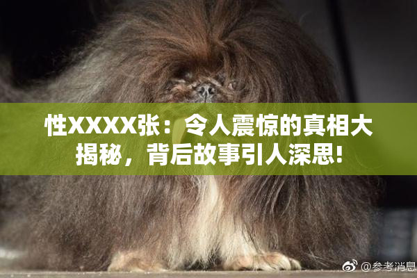 性XXXX张：令人震惊的真相大揭秘，背后故事引人深思!
