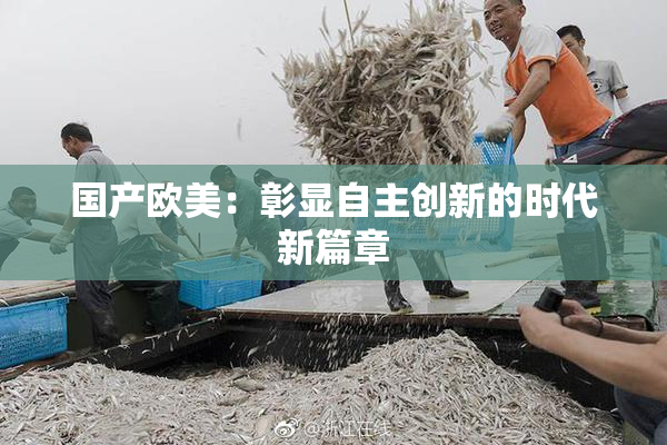 国产欧美：彰显自主创新的时代新篇章