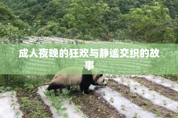 成人夜晚的狂欢与静谧交织的故事