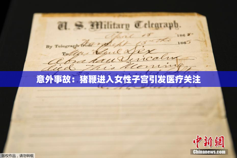意外事故：猪鞭进入女性子宫引发医疗关注