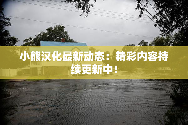 小熊汉化最新动态：精彩内容持续更新中！