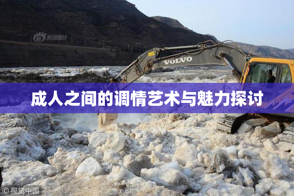 成人之间的调情艺术与魅力探讨
