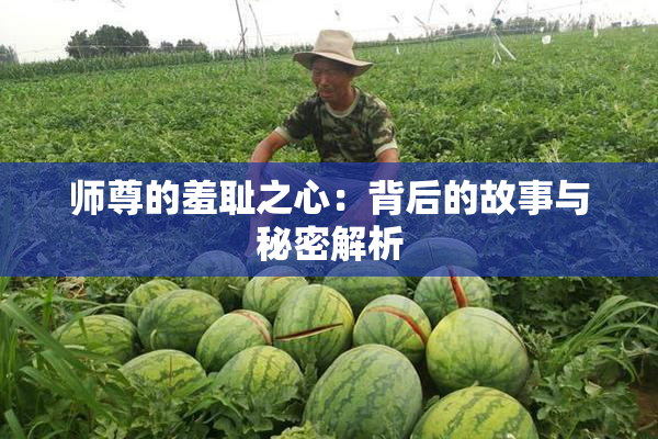 师尊的羞耻之心：背后的故事与秘密解析