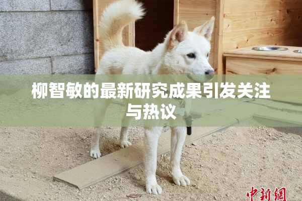 柳智敏的最新研究成果引发关注与热议