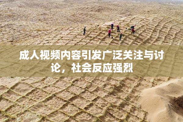 成人视频内容引发广泛关注与讨论，社会反应强烈
