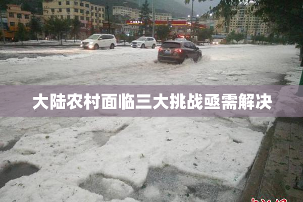大陆农村面临三大挑战亟需解决