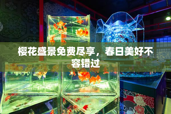 樱花盛景免费尽享，春日美好不容错过
