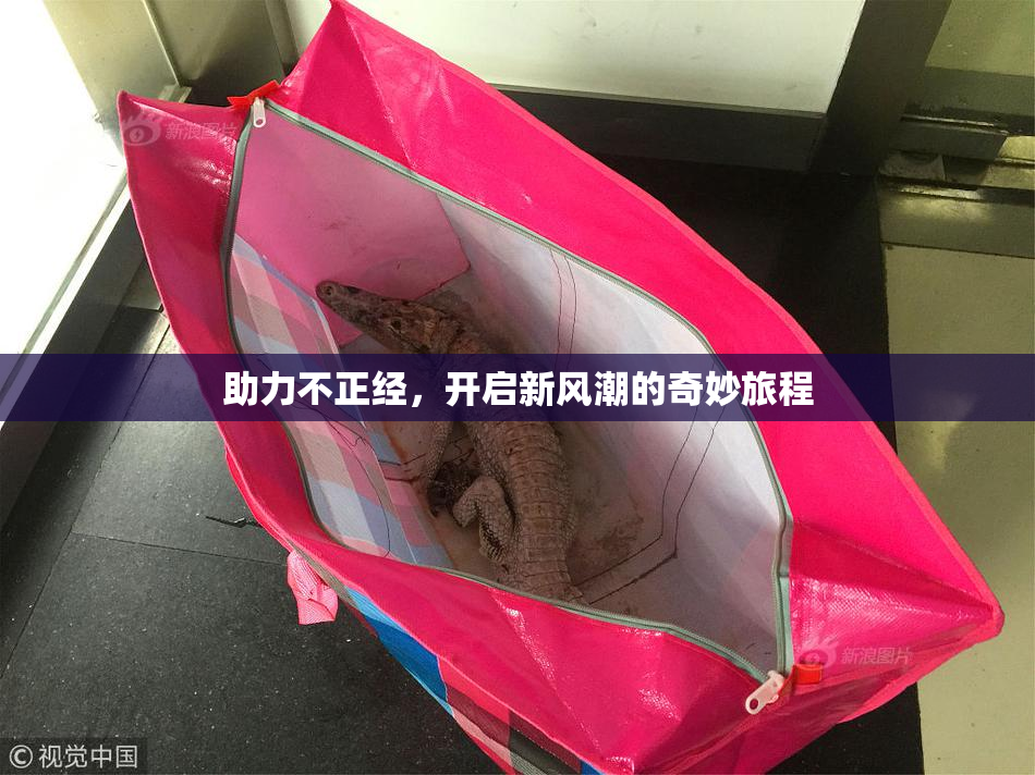 助力不正经，开启新风潮的奇妙旅程