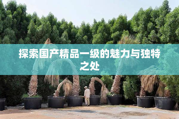 探索国产精品一级的魅力与独特之处