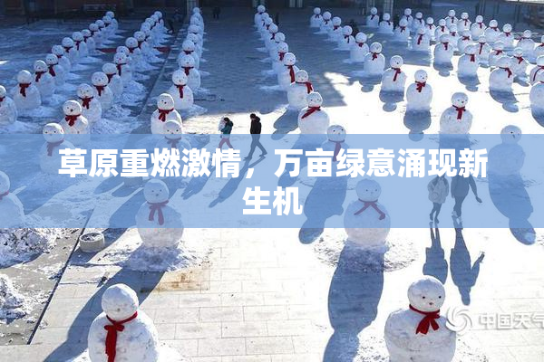 草原重燃激情，万亩绿意涌现新生机
