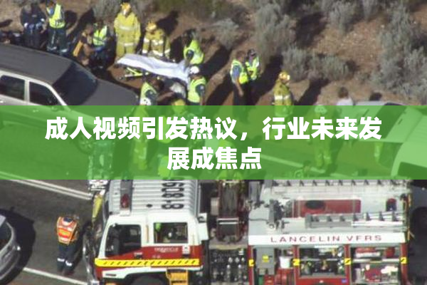 成人视频引发热议，行业未来发展成焦点