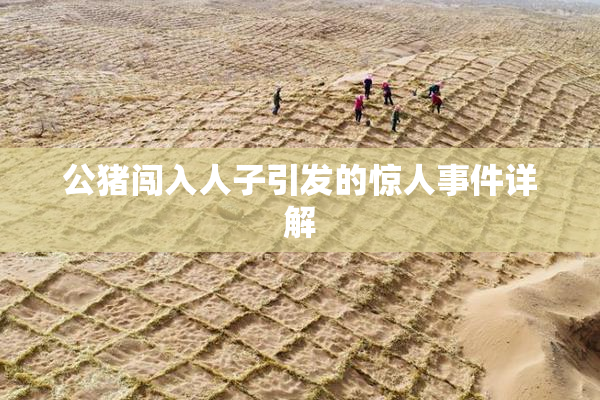 公猪闯入人子引发的惊人事件详解