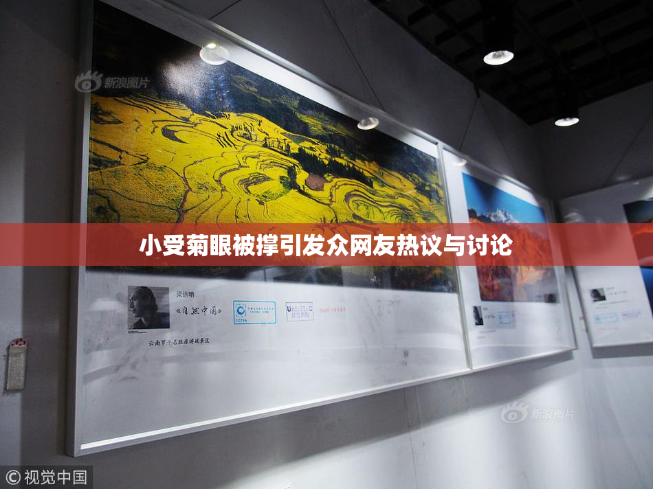 小受菊眼被撑引发众网友热议与讨论