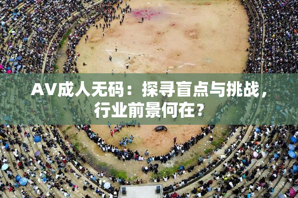 AV成人无码：探寻盲点与挑战，行业前景何在？
